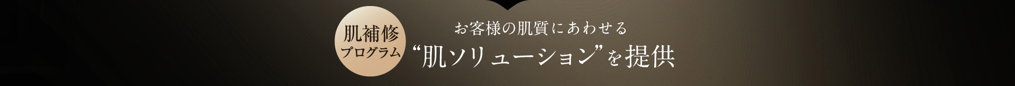 肌補修プログラム お客様の肌質にあわせる“肌ソリューション”を提供